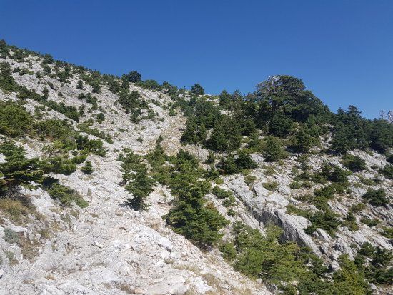 Παραλία Καλαμάτας