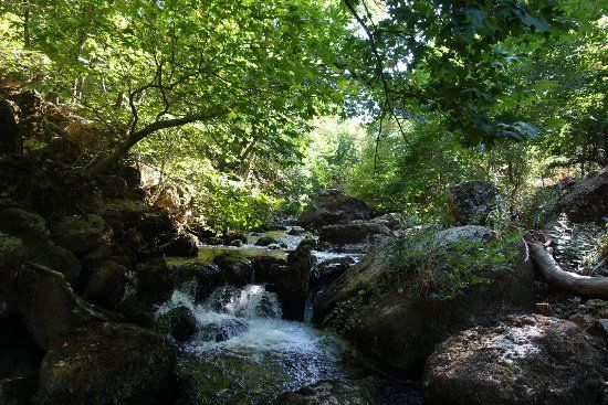 Δημοτικό Μουσείο Καλαβρυτινού Ολοκαυτώματος