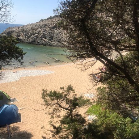 Ναυμαχία του Ναυαρίνου