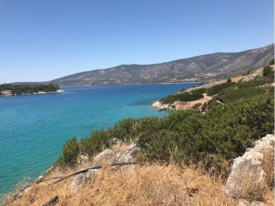 Ερμιονίς